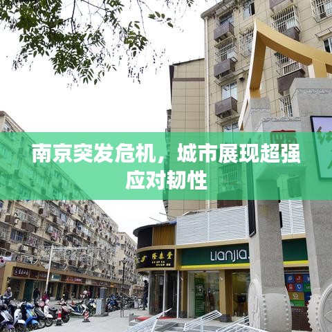 南京突發(fā)危機(jī)，城市展現(xiàn)超強(qiáng)應(yīng)對(duì)韌性