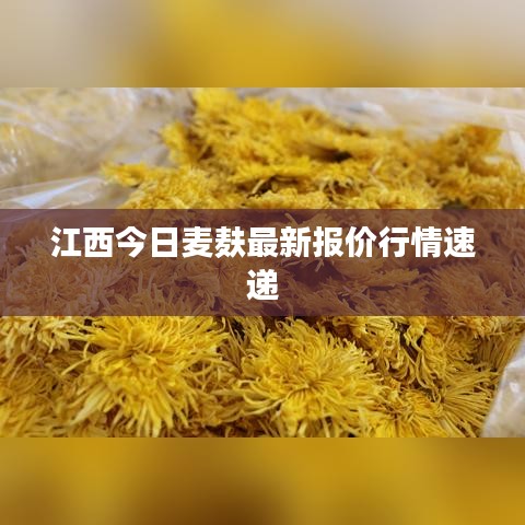 江西今日麥麩最新報(bào)價行情速遞
