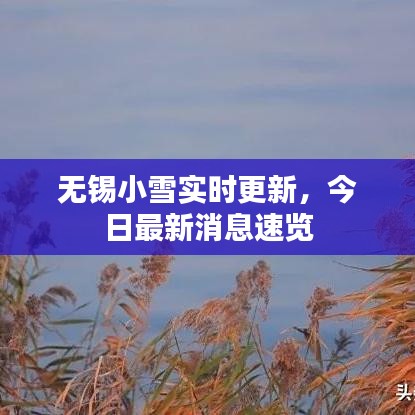 無錫小雪實(shí)時更新，今日最新消息速覽