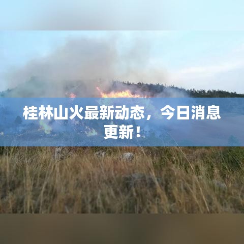 桂林山火最新動態(tài)，今日消息更新！