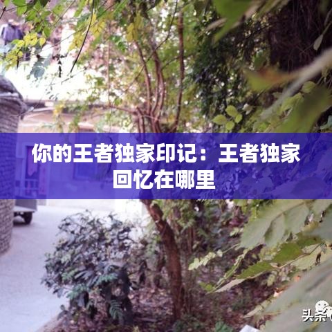 你的王者獨(dú)家印記：王者獨(dú)家回憶在哪里 