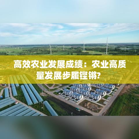 高效農(nóng)業(yè)發(fā)展成績：農(nóng)業(yè)高質量發(fā)展步履鏗鏘? 