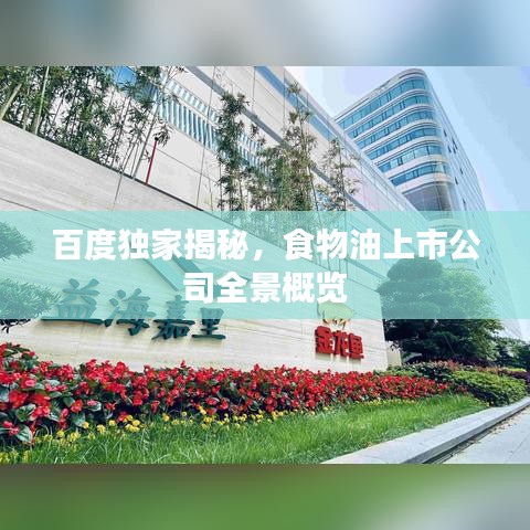 百度獨(dú)家揭秘，食物油上市公司全景概覽