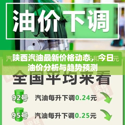 陜西汽油最新價格動態(tài)，今日油價分析與趨勢預測