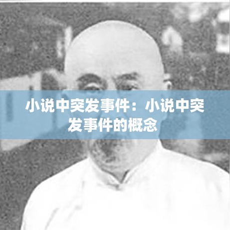 小說(shuō)中突發(fā)事件：小說(shuō)中突發(fā)事件的概念 