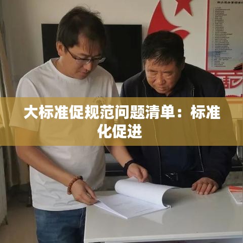 大標(biāo)準(zhǔn)促規(guī)范問(wèn)題清單：標(biāo)準(zhǔn)化促進(jìn) 