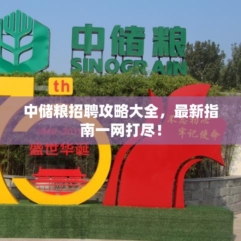 中儲糧招聘攻略大全，最新指南一網(wǎng)打盡！