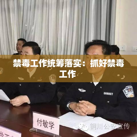禁毒工作統(tǒng)籌落實：抓好禁毒工作 