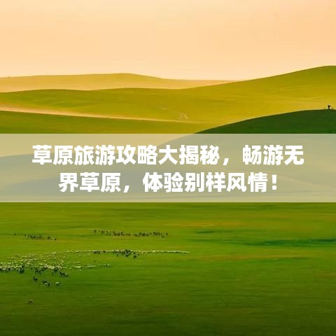草原旅游攻略大揭秘，暢游無界草原，體驗別樣風(fēng)情！