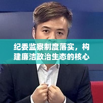 紀委監(jiān)察制度落實，構建廉潔政治生態(tài)的核心基石