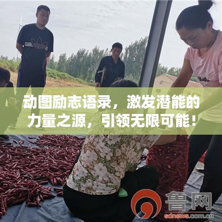 動(dòng)圖勵(lì)志語錄，激發(fā)潛能的力量之源，引領(lǐng)無限可能！