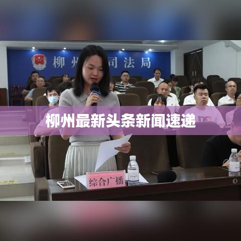 柳州最新頭條新聞速遞