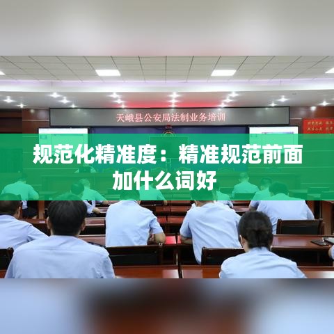 規(guī)范化精準度：精準規(guī)范前面加什么詞好 