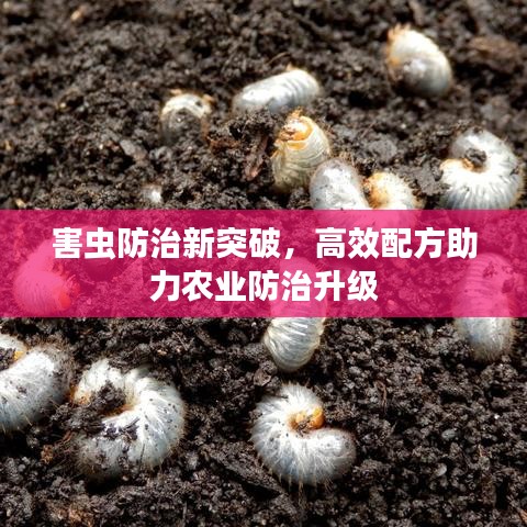 害蟲防治新突破，高效配方助力農(nóng)業(yè)防治升級