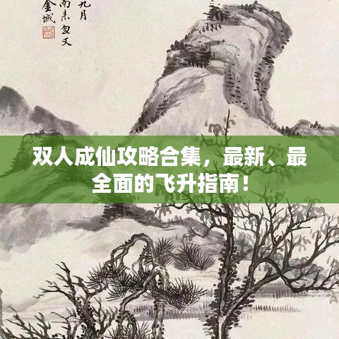 雙人成仙攻略合集，最新、最全面的飛升指南！