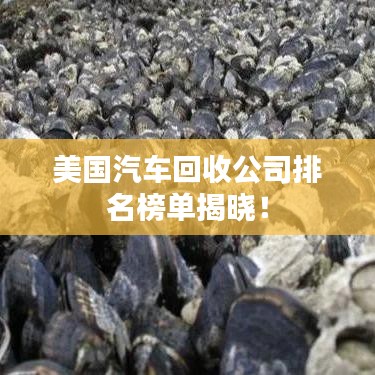 美國汽車回收公司排名榜單揭曉！