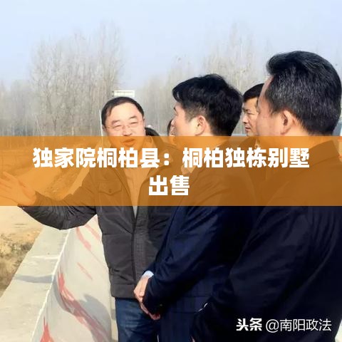 獨家院桐柏縣：桐柏獨棟別墅出售 