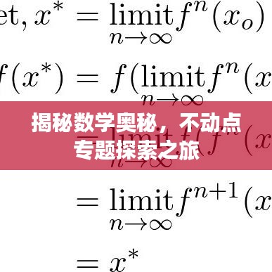 揭秘?cái)?shù)學(xué)奧秘，不動(dòng)點(diǎn)專題探索之旅