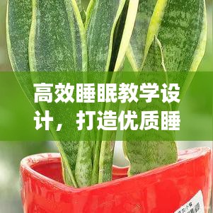 地老天荒 第4頁