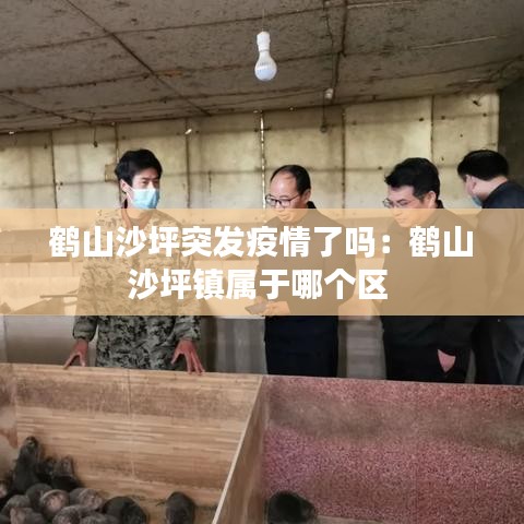 鶴山沙坪突發(fā)疫情了嗎：鶴山沙坪鎮(zhèn)屬于哪個(gè)區(qū) 