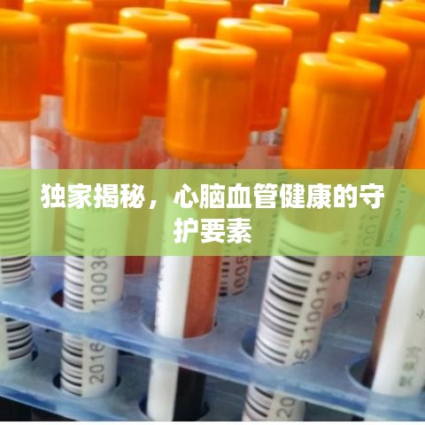 獨家揭秘，心腦血管健康的守護要素