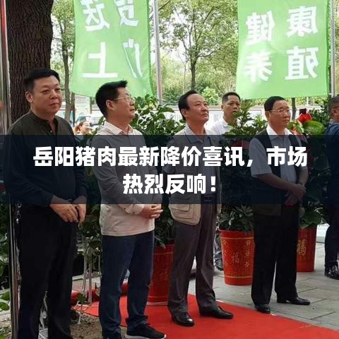 岳陽豬肉最新降價喜訊，市場熱烈反響！