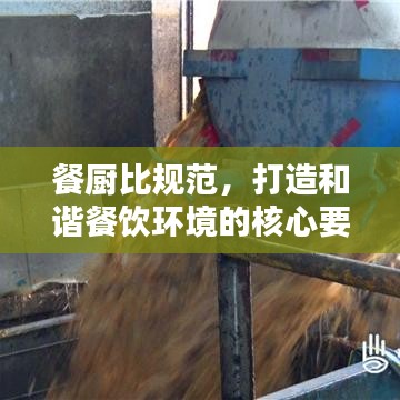 餐廚比規(guī)范，打造和諧餐飲環(huán)境的核心要素