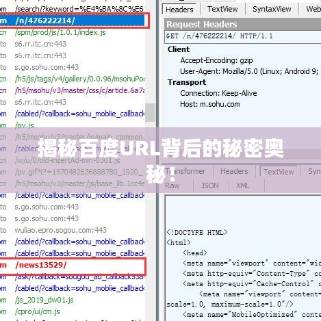 揭秘百度URL背后的秘密奧秘！