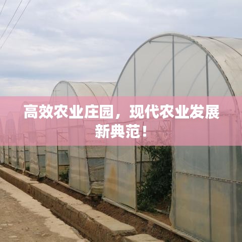 高效農(nóng)業(yè)莊園，現(xiàn)代農(nóng)業(yè)發(fā)展新典范！