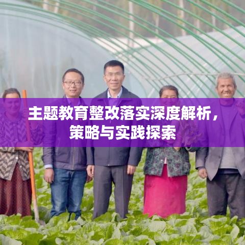 主題教育整改落實深度解析，策略與實踐探索