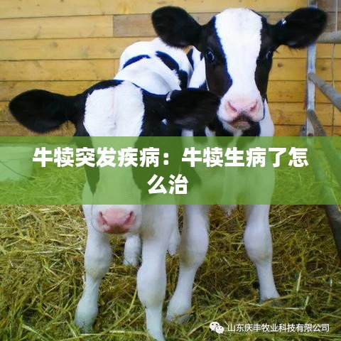 牛犢突發(fā)疾?。号偕×嗽趺粗?