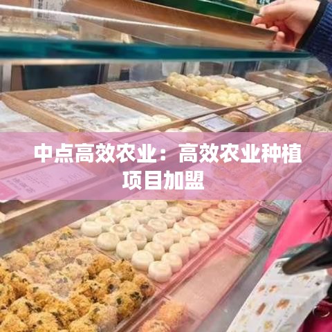 中點高效農(nóng)業(yè)：高效農(nóng)業(yè)種植項目加盟 