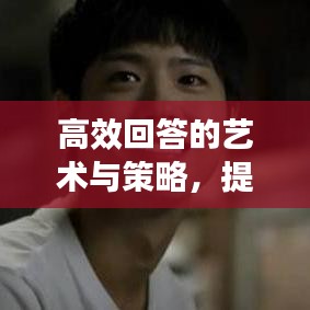 高效回答的藝術(shù)與策略，提升回答質(zhì)量，輕松吸引關(guān)注