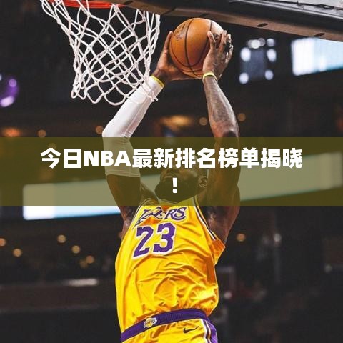 今日NBA最新排名榜單揭曉！
