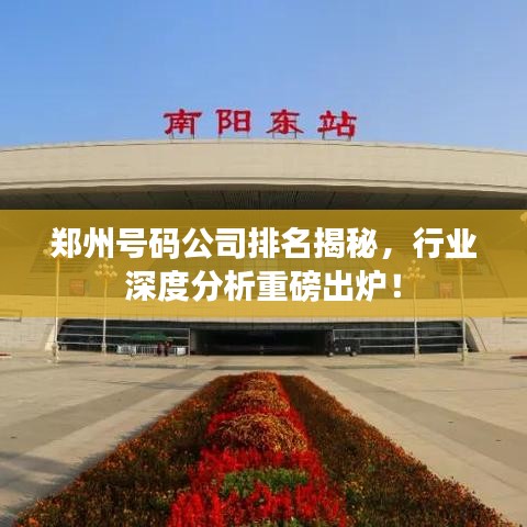 鄭州號(hào)碼公司排名揭秘，行業(yè)深度分析重磅出爐！