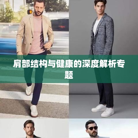 肩部結構與健康的深度解析專題