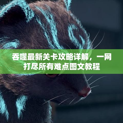 吞噬最新關(guān)卡攻略詳解，一網(wǎng)打盡所有難點(diǎn)圖文教程