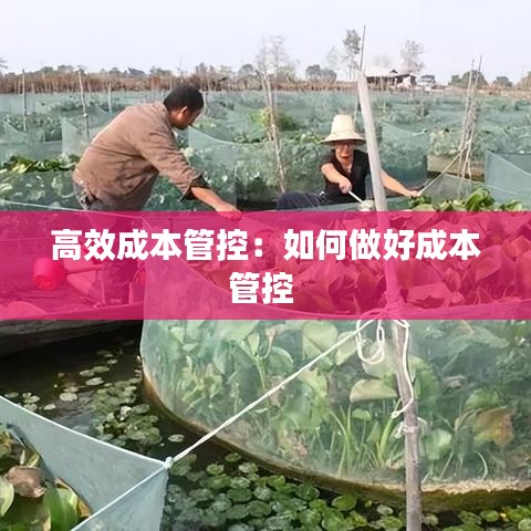 高效成本管控：如何做好成本管控 