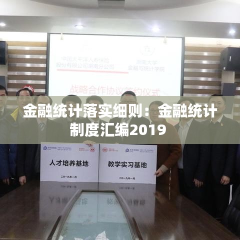 金融統(tǒng)計落實細則：金融統(tǒng)計制度匯編2019 