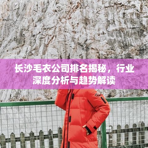長沙毛衣公司排名揭秘，行業(yè)深度分析與趨勢解讀