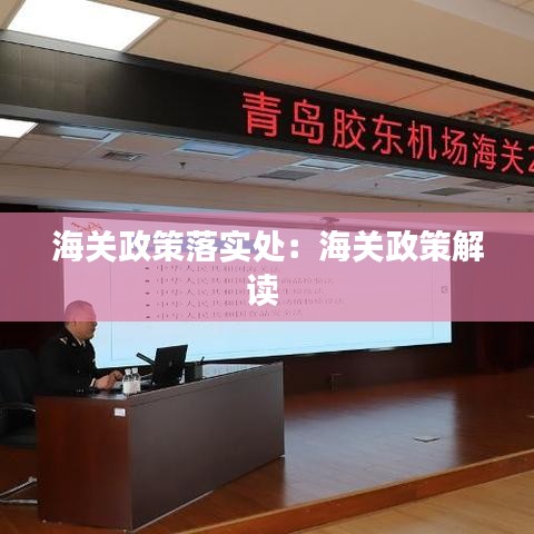 海關政策落實處：海關政策解讀 
