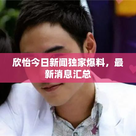 欣怡今日新聞獨(dú)家爆料，最新消息匯總