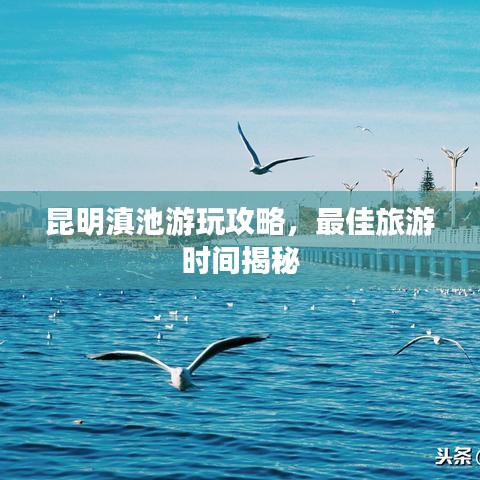 昆明滇池游玩攻略，最佳旅游時間揭秘