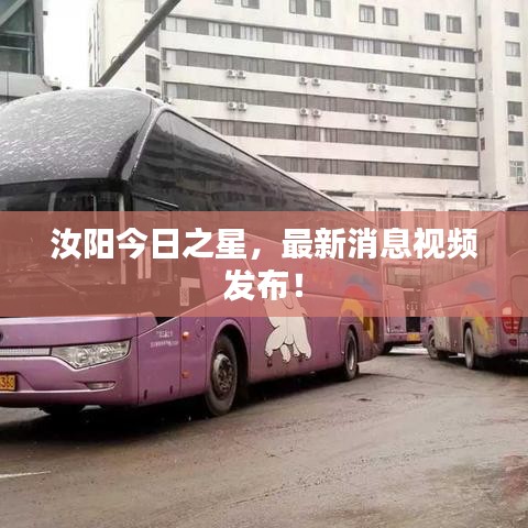 汝陽(yáng)今日之星，最新消息視頻發(fā)布！