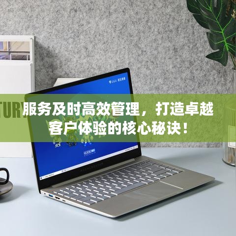 服務及時高效管理，打造卓越客戶體驗的核心秘訣！