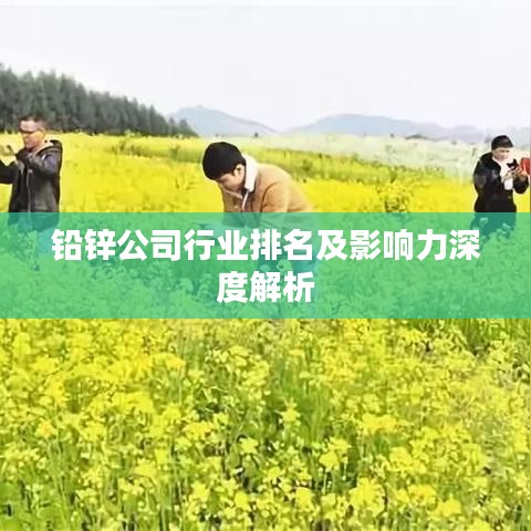 鉛鋅公司行業(yè)排名及影響力深度解析