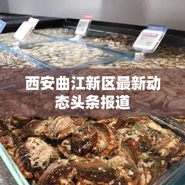 西安曲江新區(qū)最新動態(tài)頭條報道