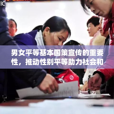 男女平等基本國策宣傳的重要性，推動性別平等助力社會和諧進步