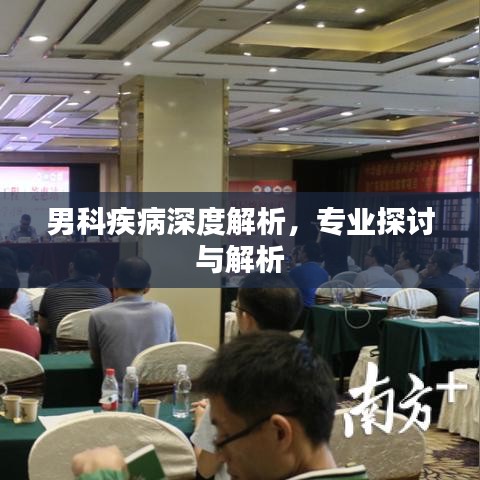 男科疾病深度解析，專業(yè)探討與解析