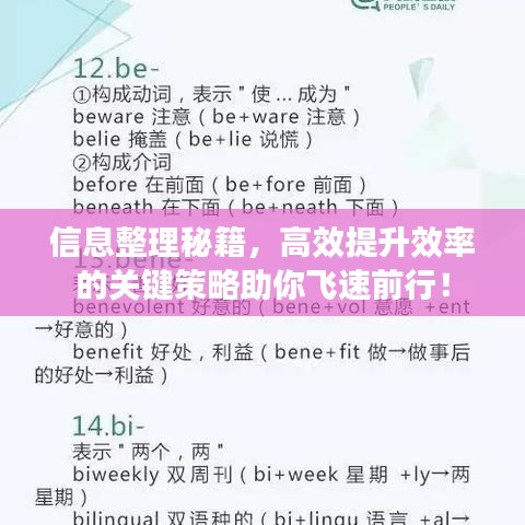 信息整理秘籍，高效提升效率的關(guān)鍵策略助你飛速前行！